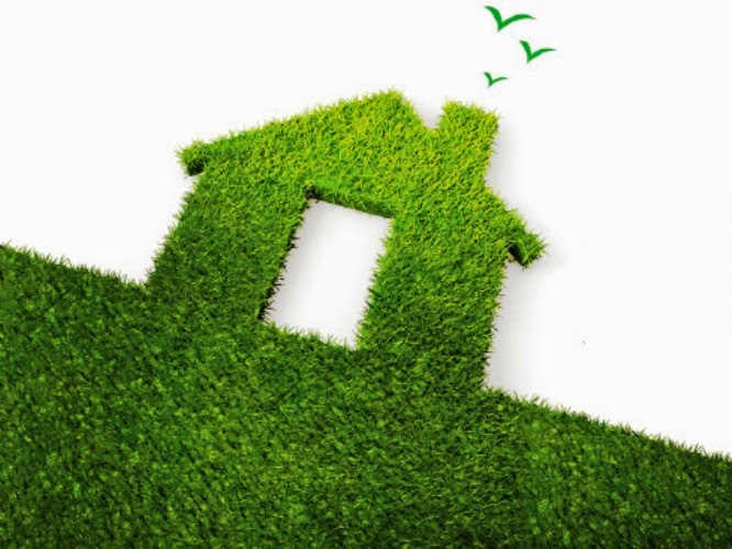 IPTU verde para a preservação ambiental
