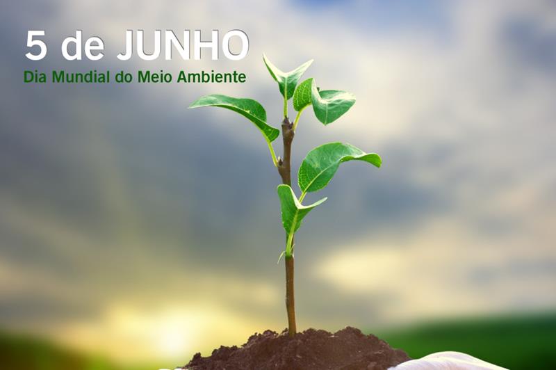 diadomeioambientenet Copy